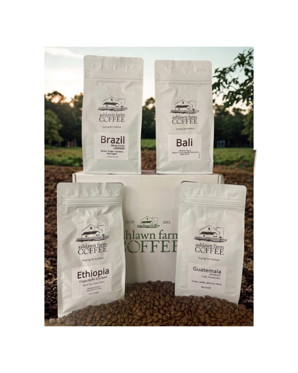 Global Coffee Explorer Gift Set - Image 3