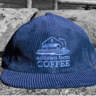 Corduroy Logo Cap